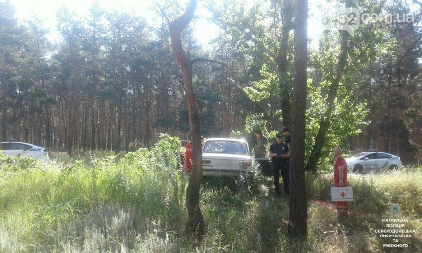 В Северодонецке оса устроила ДТП (фото), фото-2 В Северодонецке оса устроила ДТП (фото), фото-2