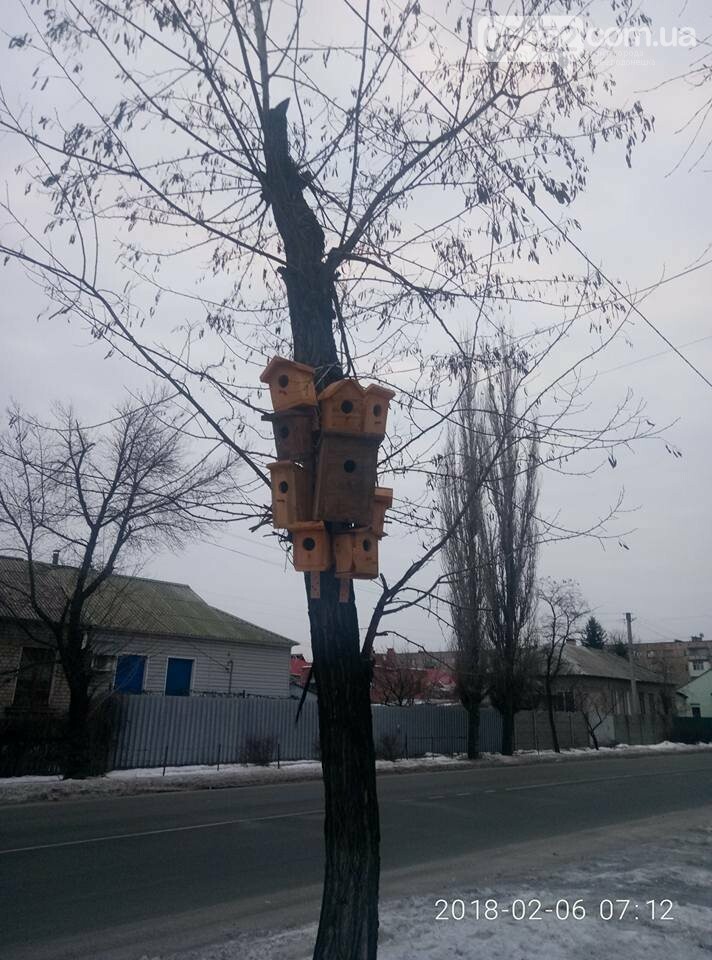 В Северодонецке появился скворечник-"многоэтажка" (фото), фото-2 В Северодонецке появился скворечник-"многоэтажка" (фото), фото-2