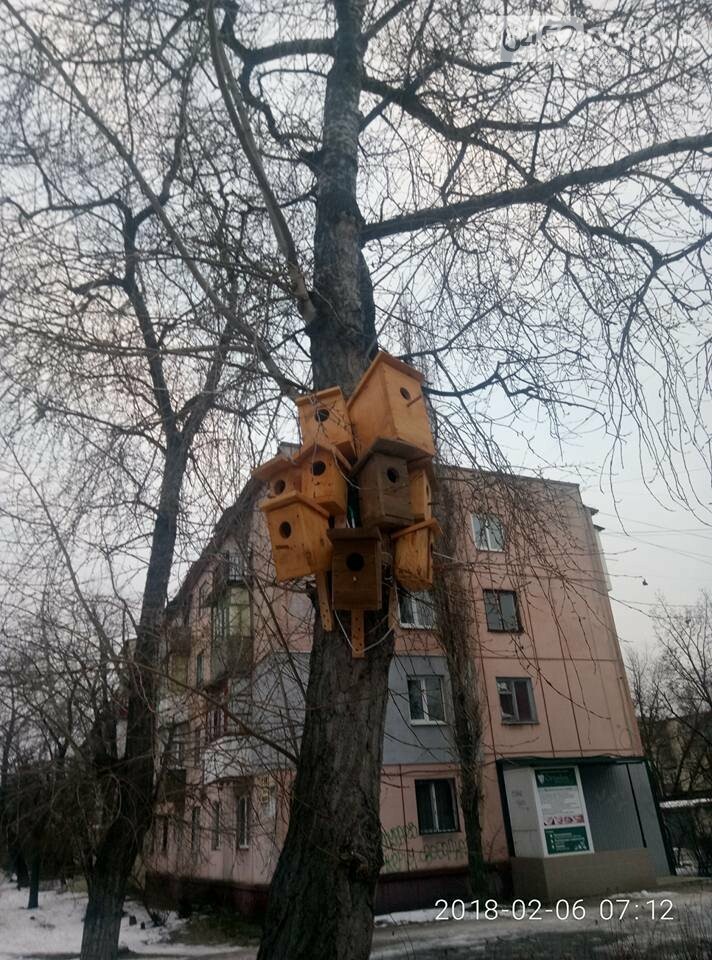 В Северодонецке появился скворечник-"многоэтажка" (фото), фото-1 В Северодонецке появился скворечник-"многоэтажка" (фото), фото-1