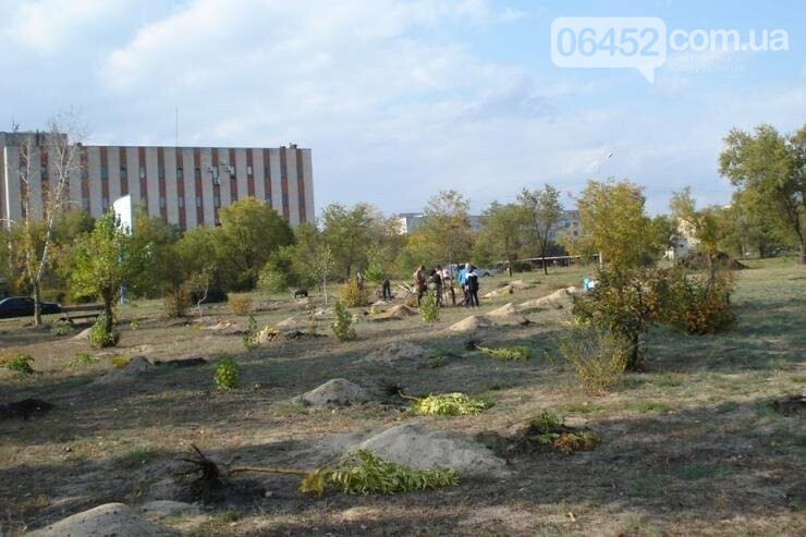 Северодонецкий сквер-оазис продолжает расцветать, фото-3 Северодонецкий сквер-оазис продолжает расцветать, фото-3