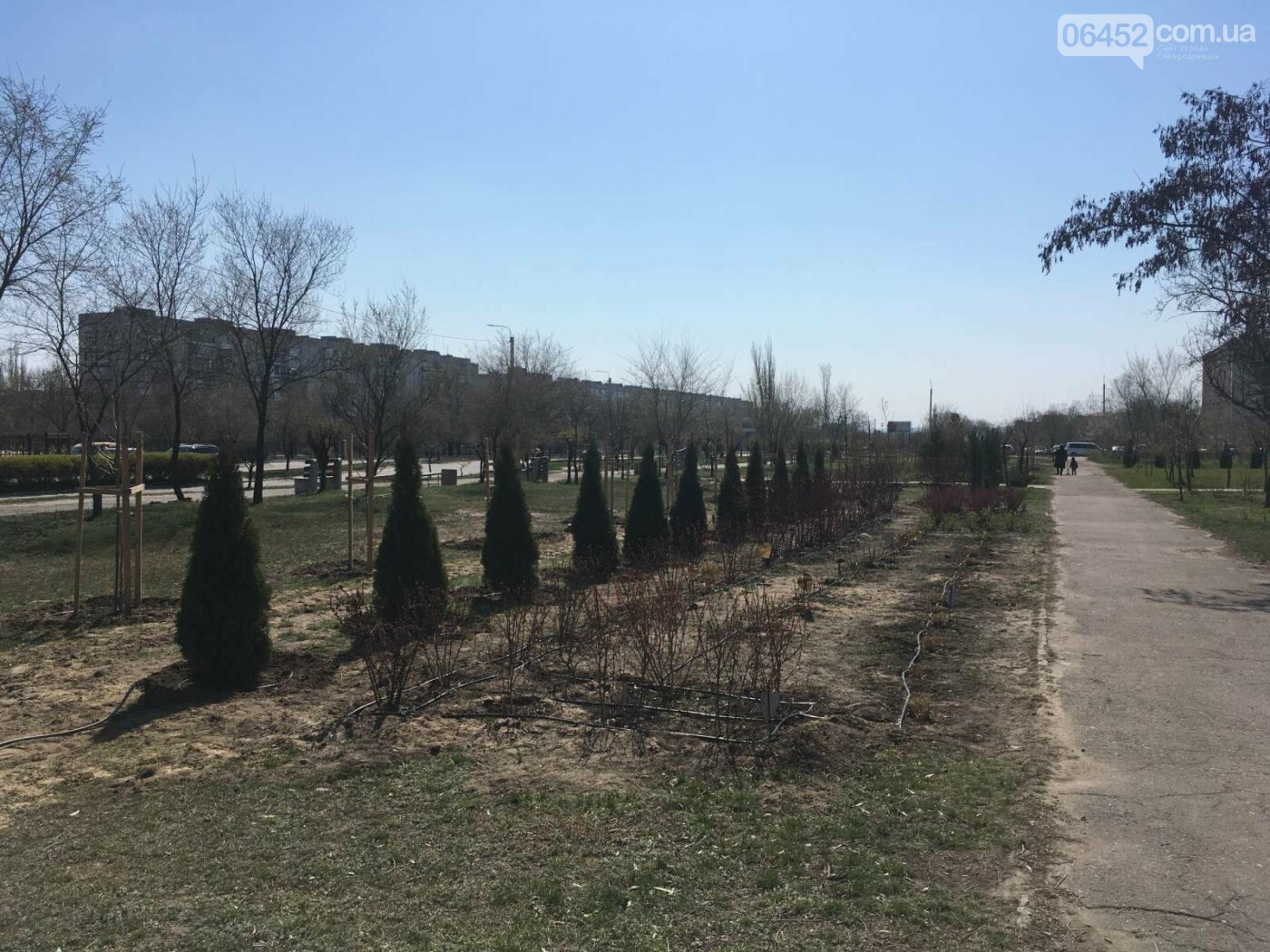Северодонецкий сквер-оазис продолжает расцветать, фото-5 Северодонецкий сквер-оазис продолжает расцветать, фото-5