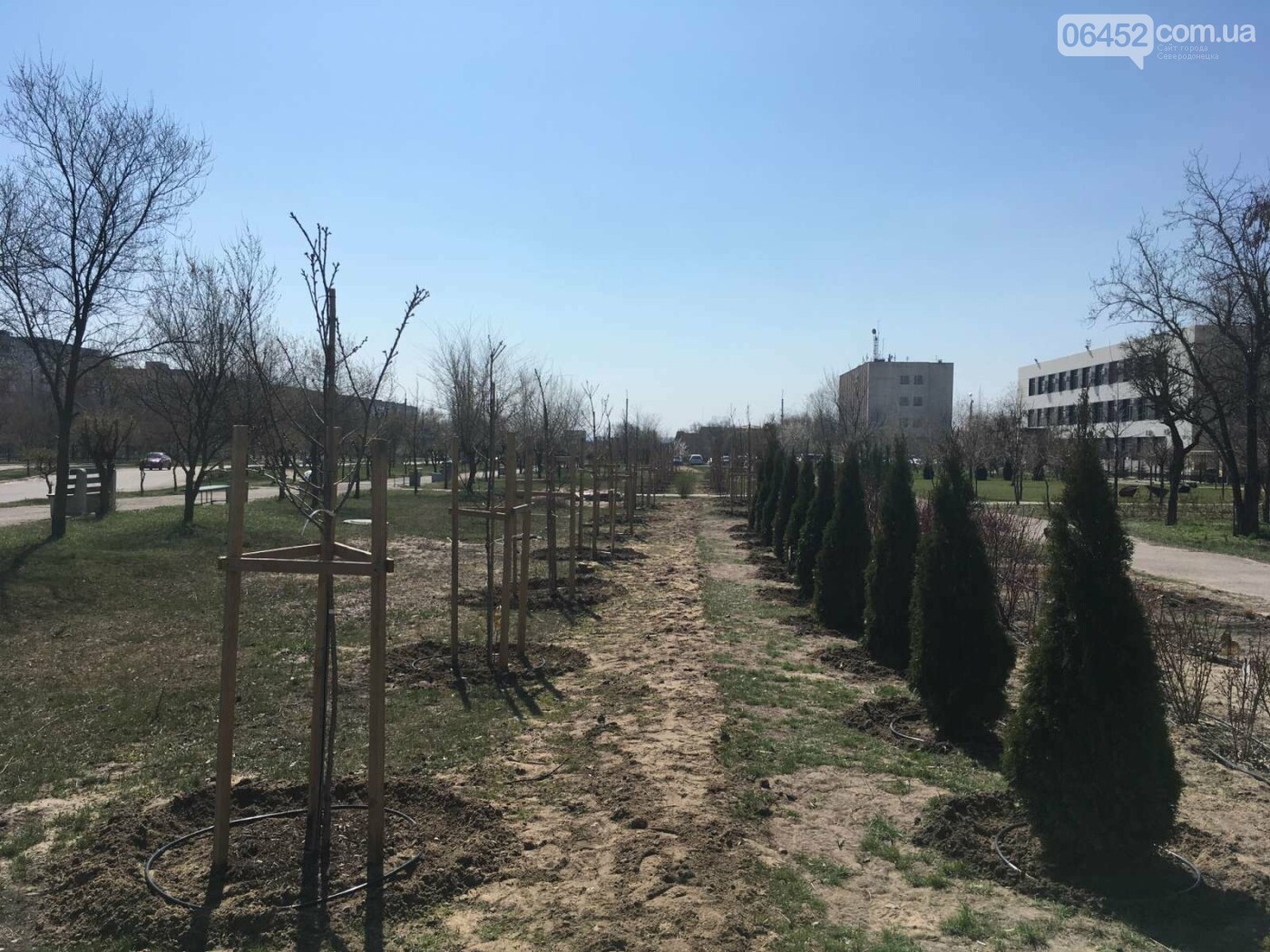 Северодонецкий сквер-оазис продолжает расцветать, фото-6 Северодонецкий сквер-оазис продолжает расцветать, фото-6