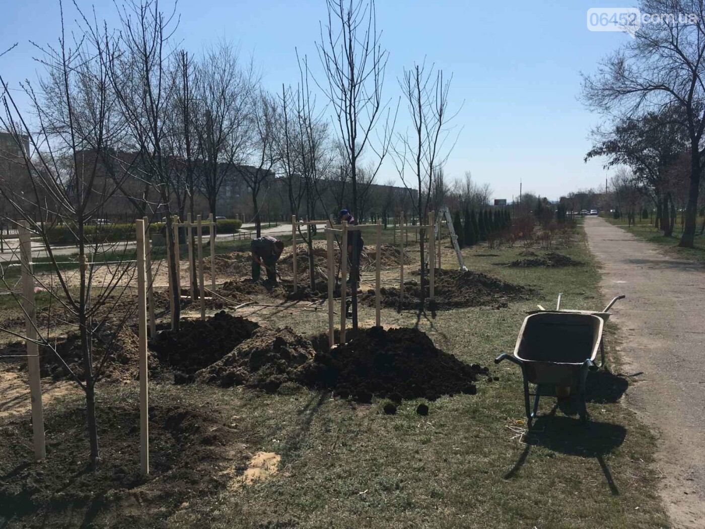 Северодонецкий сквер-оазис продолжает расцветать, фото-1 Северодонецкий сквер-оазис продолжает расцветать, фото-1