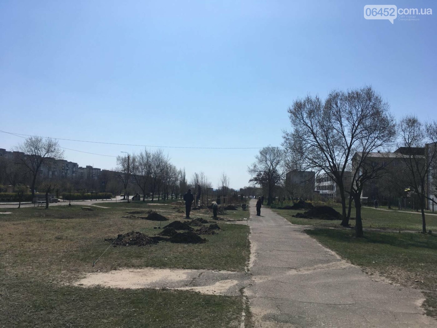 Северодонецкий сквер-оазис продолжает расцветать, фото-9 Северодонецкий сквер-оазис продолжает расцветать, фото-9