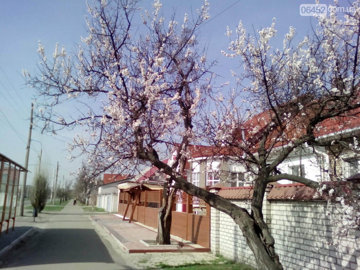 Весна в Северодонецке. Фотопрогулка, фото-3 Весна в Северодонецке. Фотопрогулка, фото-3