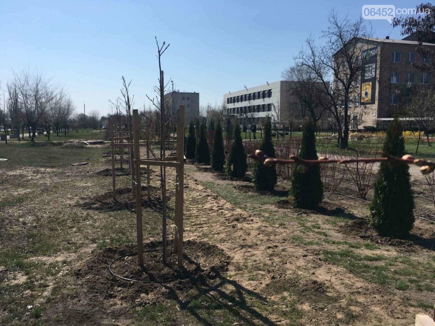Весна в Северодонецке. Фотопрогулка, фото-14 Весна в Северодонецке. Фотопрогулка, фото-14
