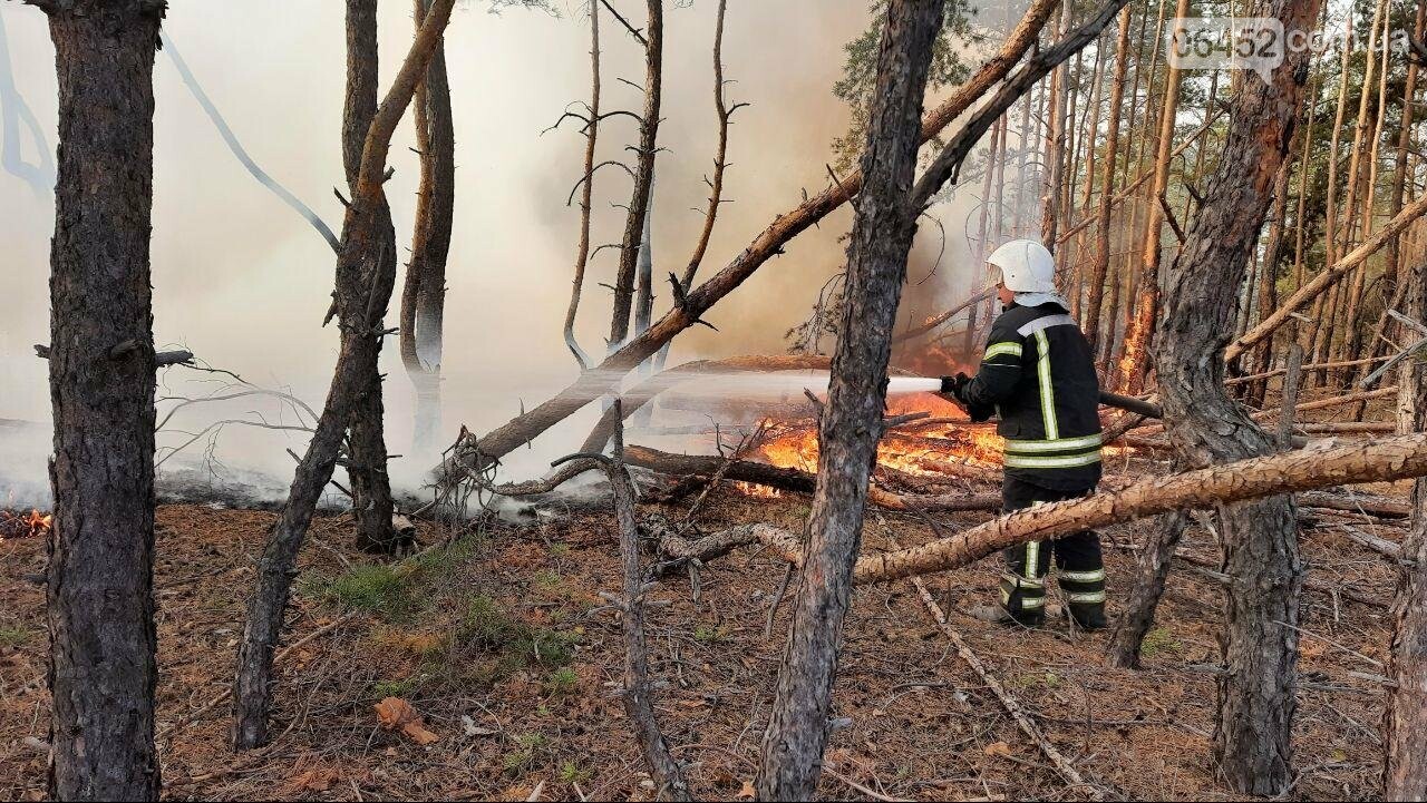 Пожары на Луганщине практически потушены. Проблемным остает..., фото-1 Пожары на Луганщине практически потушены. Проблемным остается один участок, фото-1