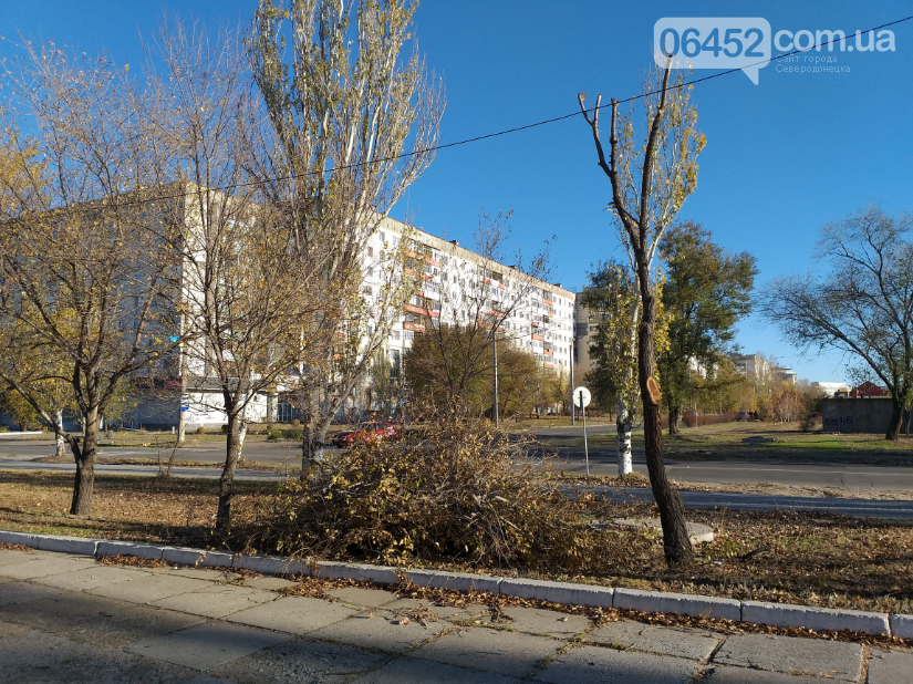 Северодончане жалуются на мусор оставленный рабочими после..., фото-11 Северодончане жалуются на мусор оставленный рабочими после опиловки деревьев, фото-11