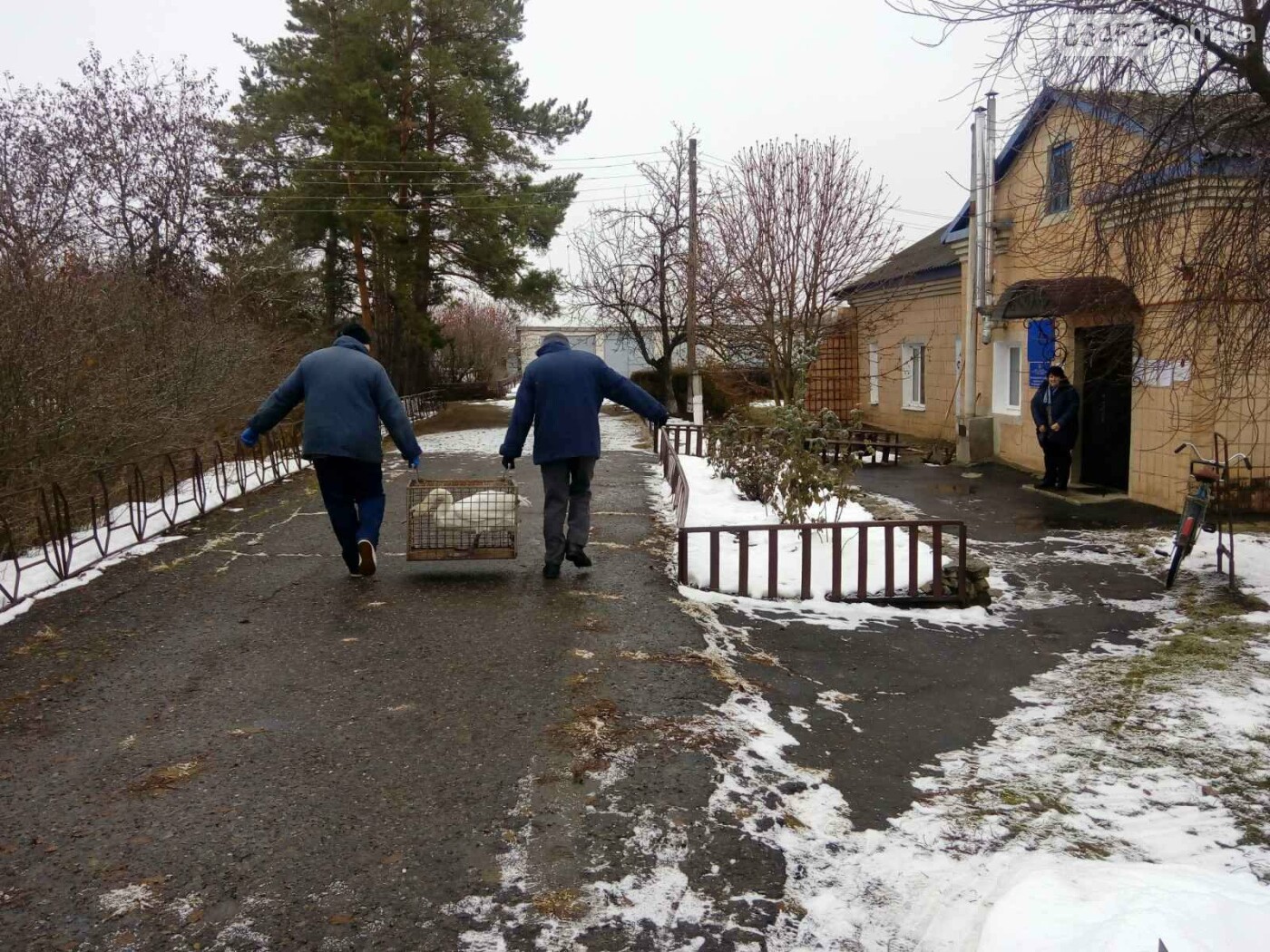 Синоптик луганская. Обстановка в Белокуракино Украина. Смт Белокуракино. Белокуракино ЛНР. Обстрел Белокуракино.