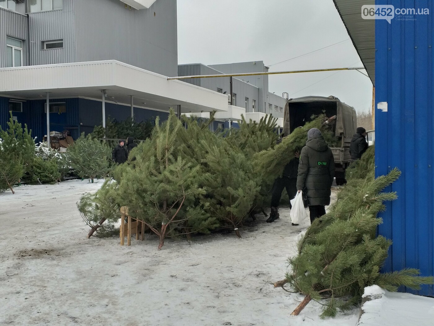 Елочные базары: где купить живую елку в Северодонецке?, фото-13 Елочные базары: где купить живую елку в Северодонецке?, фото-13
