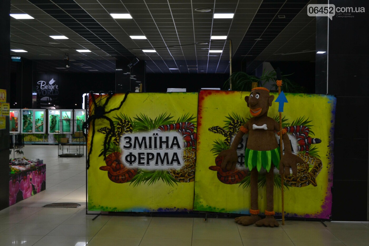 В Северодонецке открылась выставка экзотических рептилий (фото) , фото-1