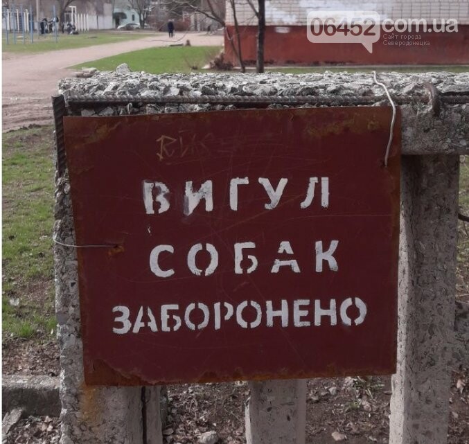 Территория СОШ №14, Северодонецк Территория СОШ №14, Северодонецк