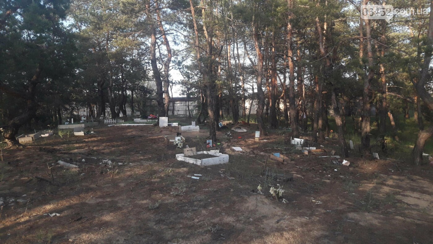 Колкий лес: в Северодонецке неизвестные устроили свалку ме..., фото-3 Колкий лес: в Северодонецке неизвестные устроили свалку медицинских отходов неподалёку от дороги, фото-3