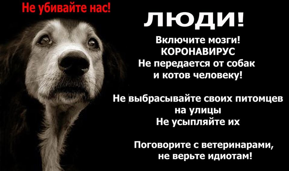 Что волнует жителей региона в период карантина? (обзор соц..., фото-28 Что волнует жителей региона в период карантина? (обзор соцсетей), фото-28