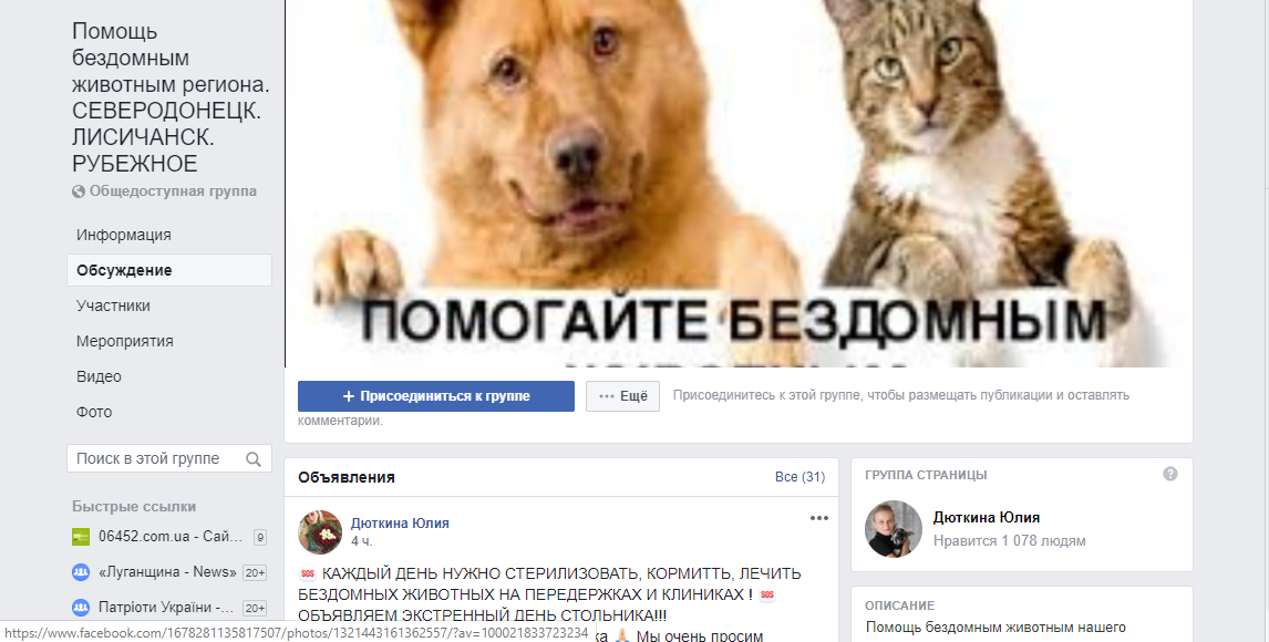 Как помочь бездомным животным в Северодонецке?, фото-3 Как помочь бездомным животным в Северодонецке?, фото-3