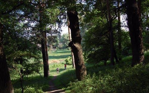Луганщине 82! Невероятные места региона, о которых вы могли..., фото-7 Луганщине 82! Невероятные места региона, о которых вы могли не знать, фото-7