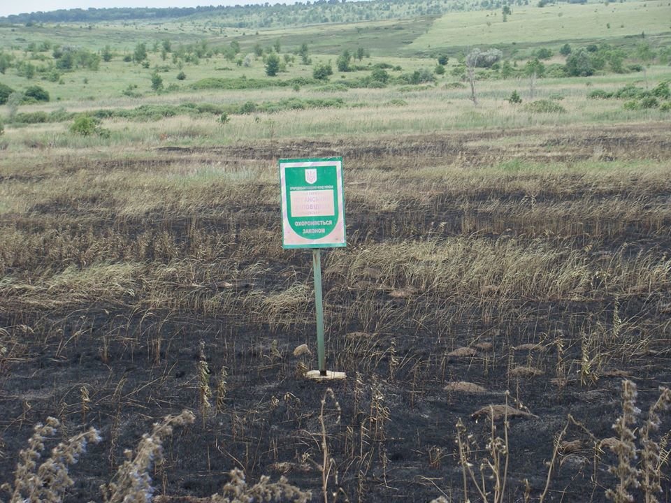 В Луганской области выжигается заповедная степь, фото-1 В Луганской области выжигается заповедная степь, фото-1