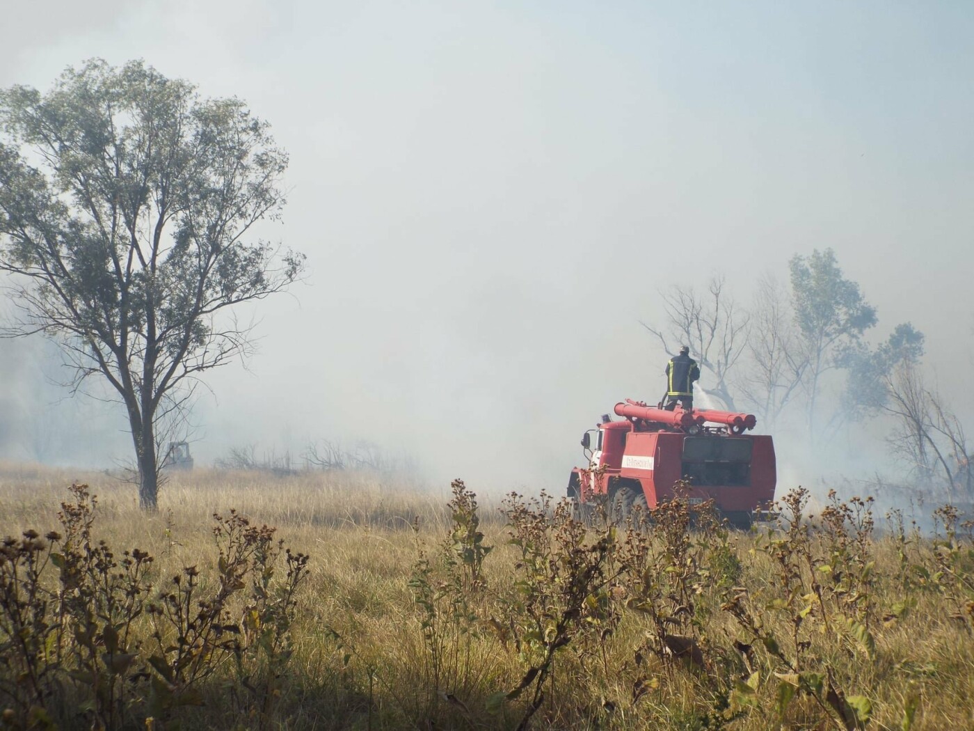 Пожары продолжаются: на Луганщине фиксируют новые очаги воз..., фото-1 Пожары продолжаются: на Луганщине фиксируют новые очаги возгорания, фото-1