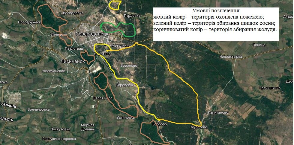В Луганской области полностью ликвидировали массовые пожары, фото-2 В Луганской области полностью ликвидировали массовые пожары, фото-2