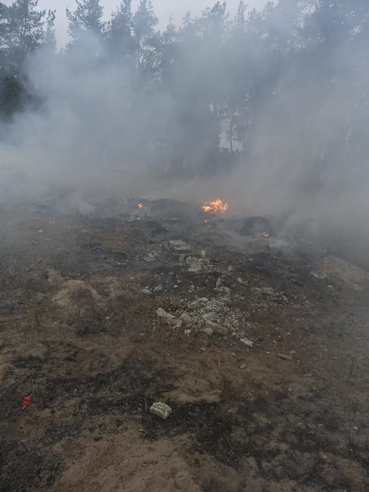 Под Северодонецком новый пожар. Горело на окраине Боровског..., фото-3 Под Северодонецком новый пожар. Горело на окраине Боровского (фото), фото-3