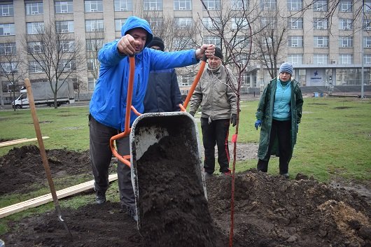 В Северодонецке высадили "семейные" деревья (фото) , фото-4