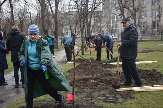 В Северодонецке высадили "семейные" деревья (фото) , фото-3