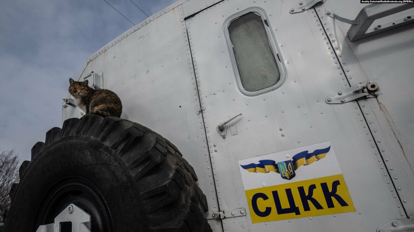 Преданные спутники: военным на Донбассе помогают четвероногие друзья (фото), фото-5