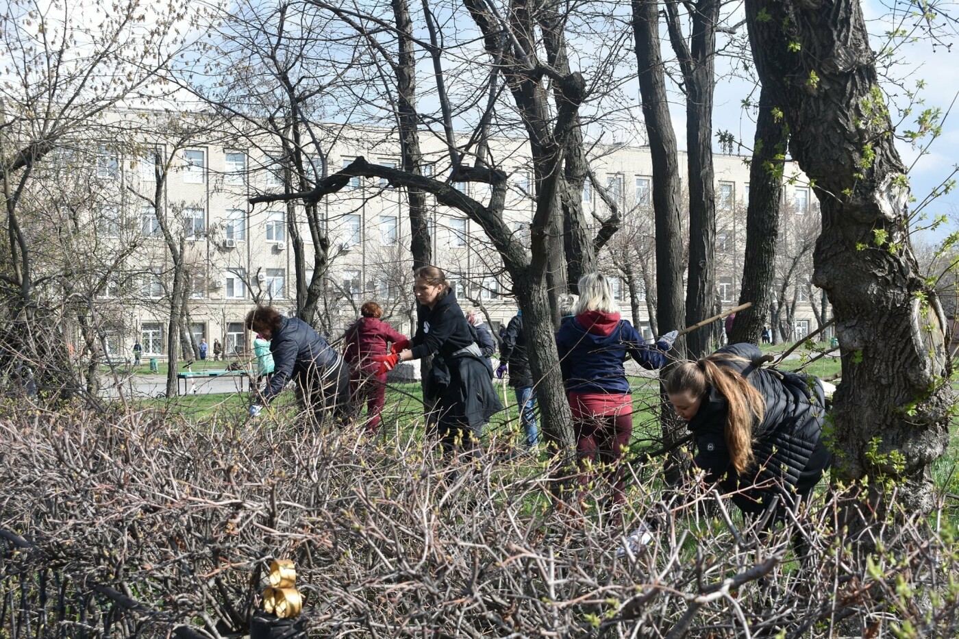 Северодончане приняли участие во всеукраинской акции «За чистую окружающую среду» (фото) , фото-23