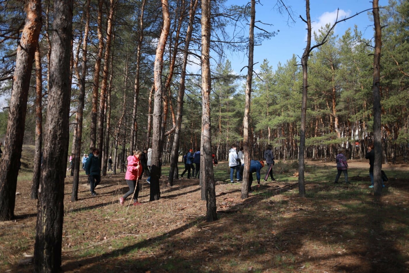 Северодончане приняли участие во всеукраинской акции «За чистую окружающую среду» (фото) , фото-1