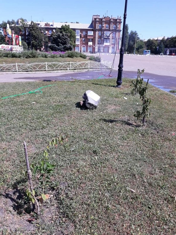 Сакуры на площади Мира, 2019 год Сакуры на площади Мира, 2019 год