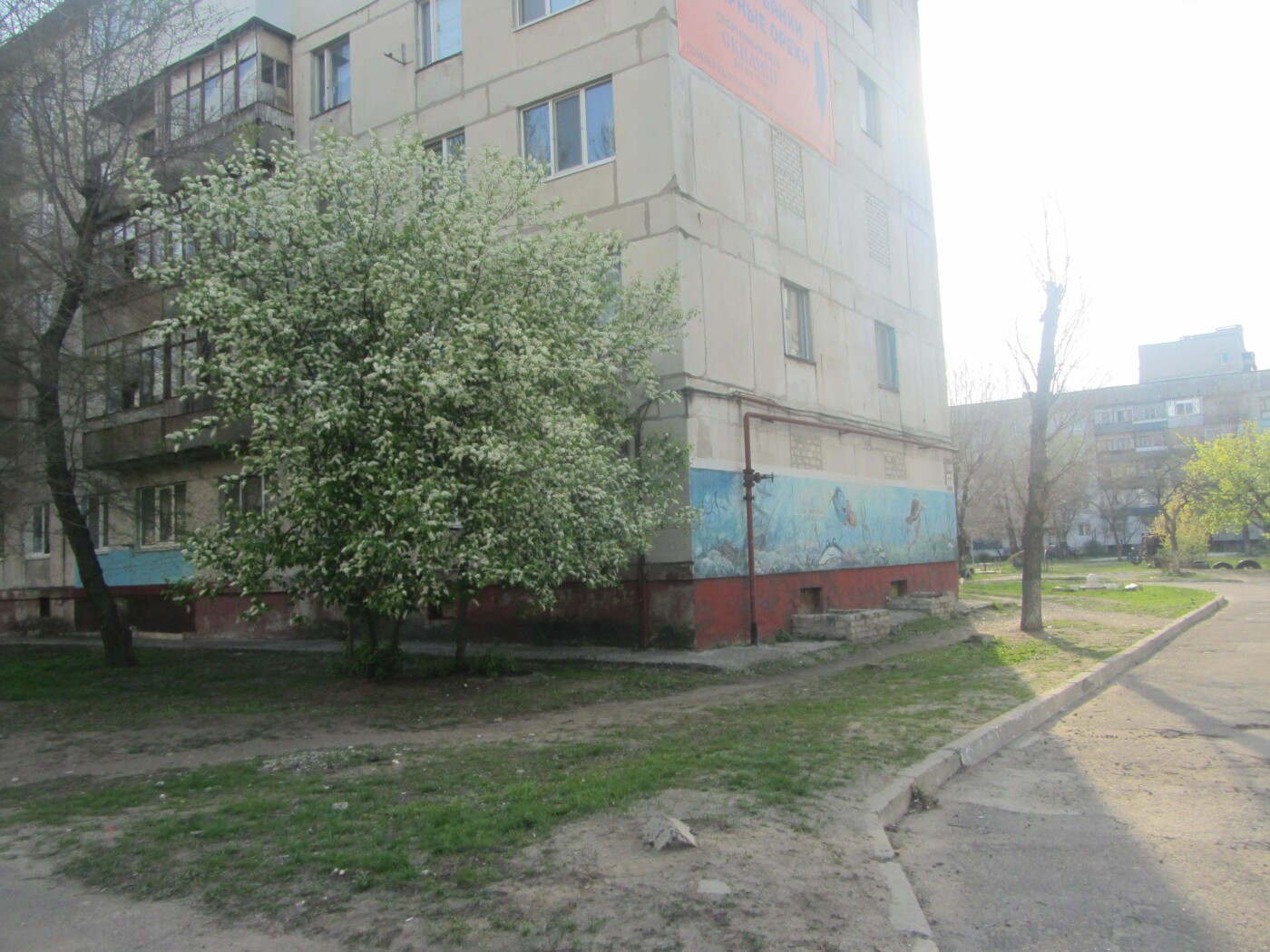 Полюбуйся: в Городском Дворце Культуры цветут японские сак..., фото-13 Полюбуйся: в Городском Дворце Культуры цветут японские сакуры (фото), фото-13