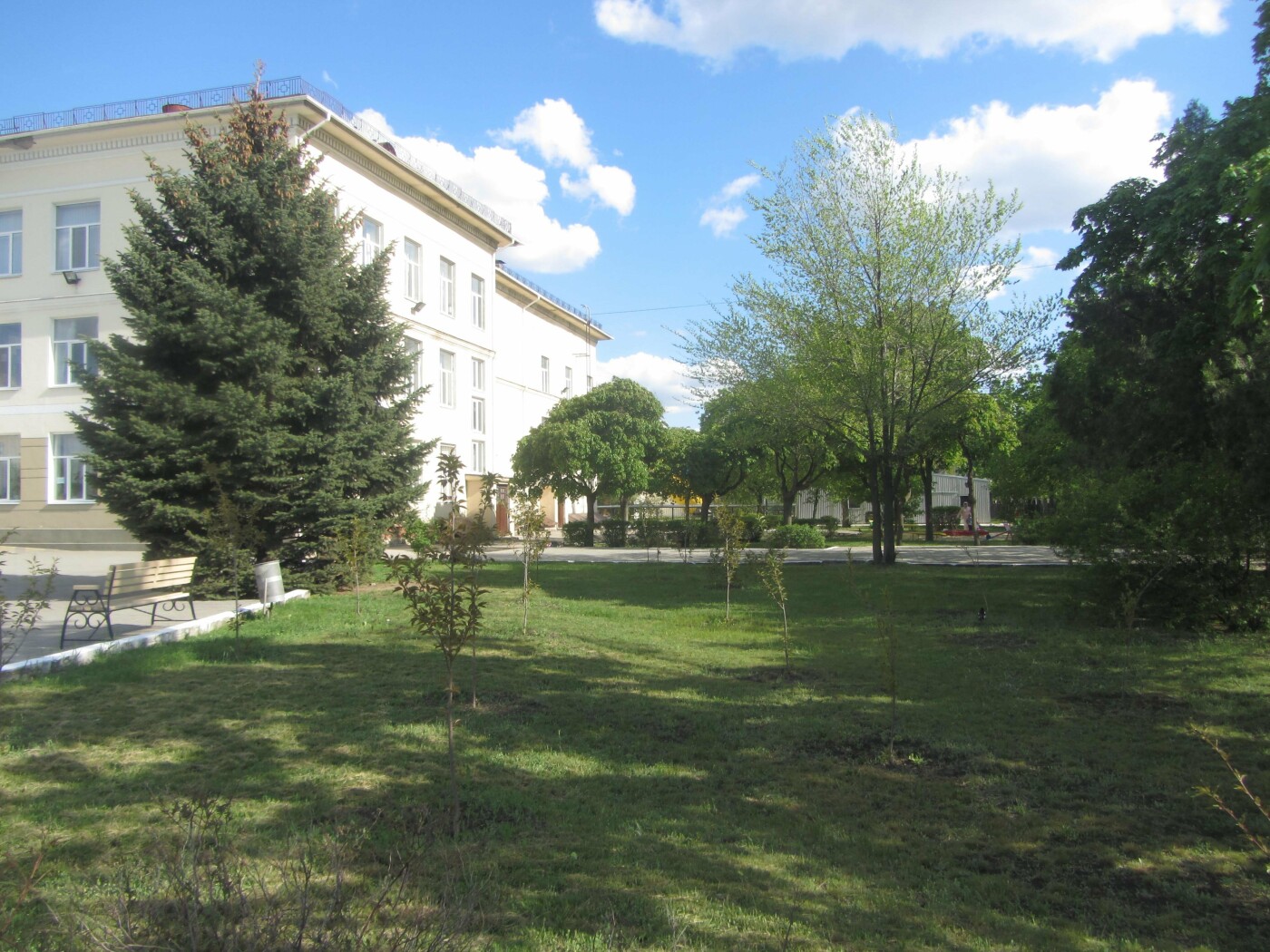 У Городского Дворца Культуры цветут сакуры У Городского Дворца Культуры цветут сакуры, 06452.com.ua