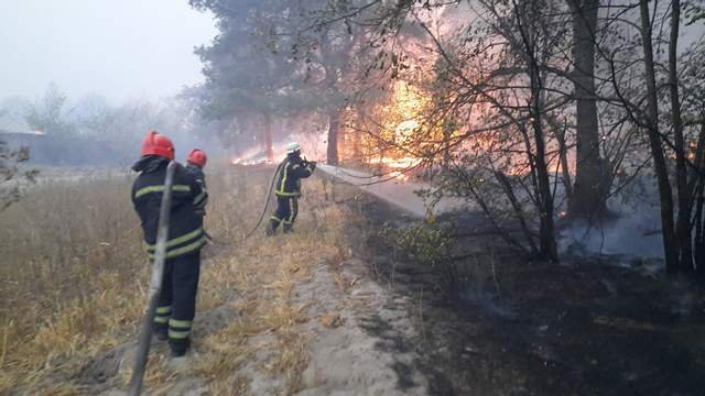 Лес, пламя и люди: 30 сентября – годовщина начала масштабных пожаров на Луганщине (фото, видео) , фото-12