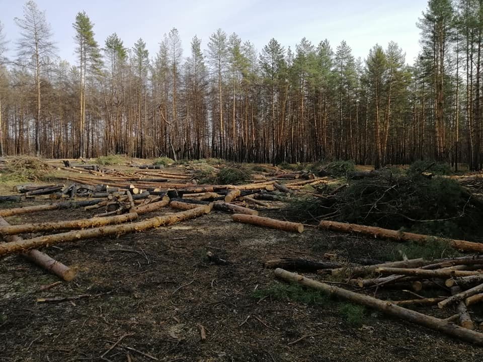 Фото: Анастасия Соболь