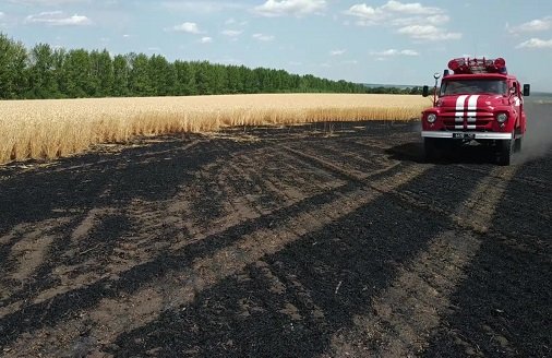 Служба спасения "101" Луганщины ликвидировала возгорание на поле пш... Служба спасения "101" Луганщины ликвидировала возгорание на поле пшеницы, Вадим Максимов