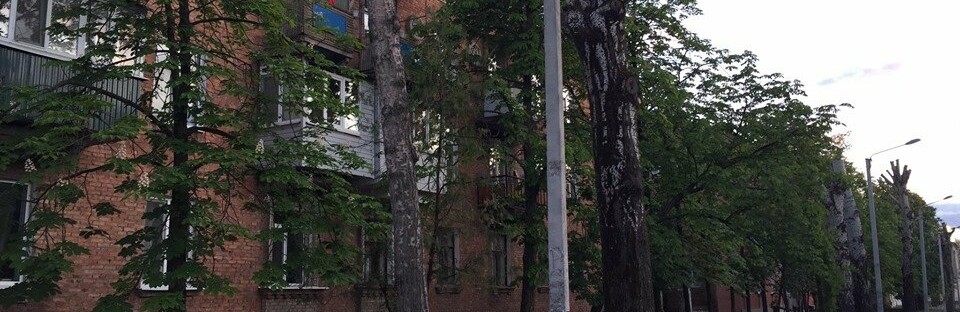 Обрезка деревьев в Северодонецке - польза или вред? Обрезка деревьев в Северодонецке - польза или вред?