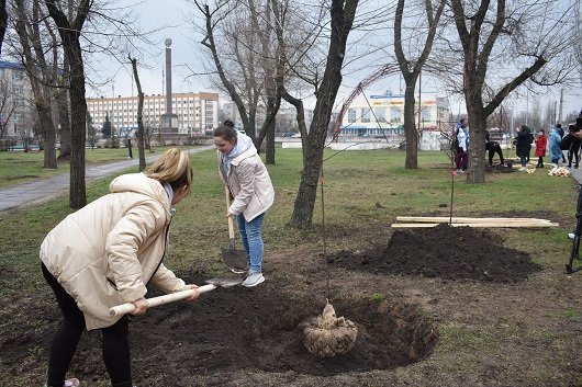 В Северодонецке высадили 